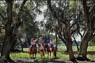 3200 River Ranch Blvd, River Ranch, FL 33867 - Photo 16