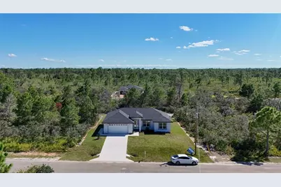 7433 Domenico Street, Sebring, FL 33872 - Photo 2