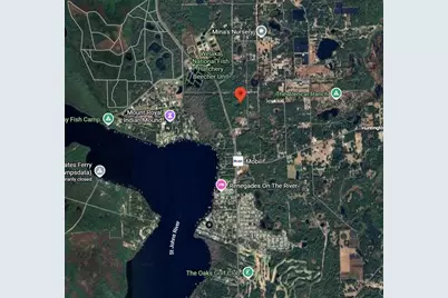 175 Oak Run Road, Crescent City, FL 32112 - Photo 1