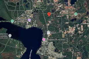 175 Oak Run Rd, Crescent City, FL 32112 - Photo 1