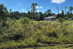 8011 Ancha St, Sebring, FL 33872 - Photo 2