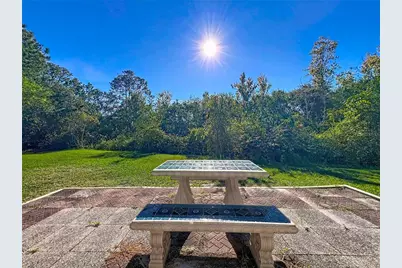 12204 Wedgefield Drive, Grand Island, FL 32735 - Photo 34