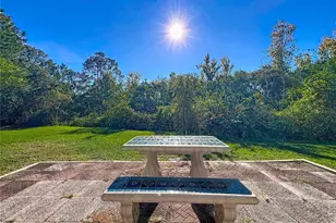 12204 Wedgefield Dr, Grand Island, FL 32735 - Photo 34