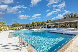 6664 Coral Berry Dr, Mount Dora, FL 32757 - Photo 36