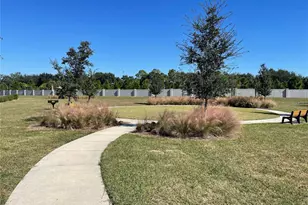 12337 Bracco St, Winter Garden, FL 34787 - Photo 22