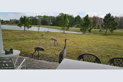 17571 Saw Palmetto Avenue, Clermont, FL 34714 - Photo 8
