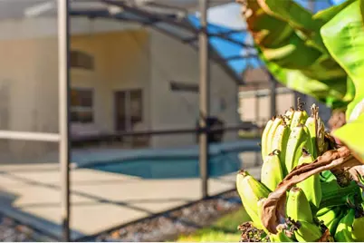 911 Lake Berkley Drive, Kissimmee, FL 34746 - Photo 22