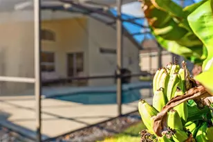 911 Lake Berkley Dr, Kissimmee, FL 34746 - Photo 22