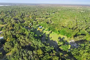 1167 Ohio St, De Leon Springs, FL 32130 - Photo 40