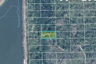 Dill Rd, Orlando, FL 32820 - Photo 1