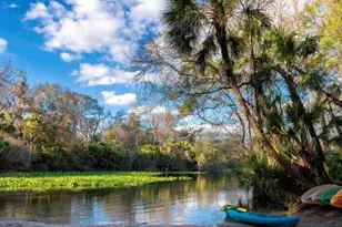 2740 Fiddle Leaf Loop, Apopka, FL 32712 - Photo 32