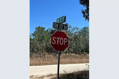 Sw 121 Terrace Road, Dunnellon, FL 34432 - Photo 4