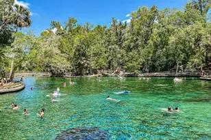 2604 Long Pne Ave, Apopka, FL 32712 - Photo 18