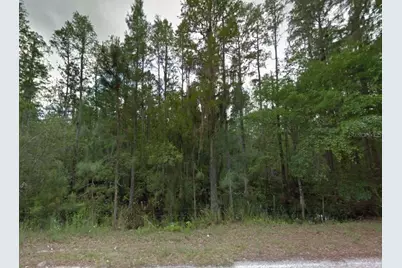 000 Poyner Road, Polk City, FL 33868 - Photo 12
