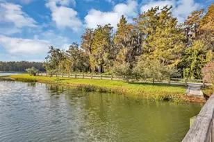 3259 River Branch Cir, Kissimmee, FL 34741 - Photo 42