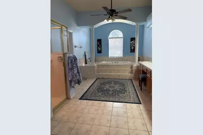 14206 Melouga Preserve Trail, Dover, FL 33527 - Photo 10