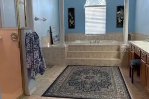 14206 Melouga Preserve Trail, Dover, FL 33527 - Photo 10