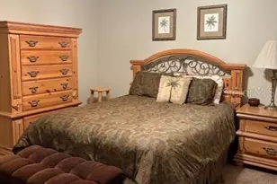 14206 Melouga Preserve Trail, Dover, FL 33527 - Photo 12