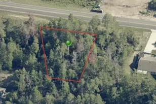 5268 W Oak Park Blvd, Homosassa, FL 34446 - Photo 1