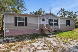25800 Blue Lakes Dr, Paisley, FL 32767 - Photo 20