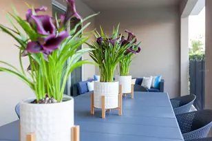 7625 Brookhurst Ln, Kissimmee, FL 34747 - Photo 72