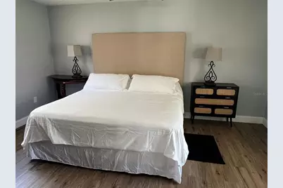 905 W 11th Avenue, Mount Dora, FL 32757 - Photo 14