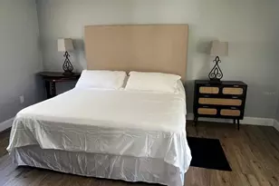 905 W 11th Ave, Mount Dora, FL 32757 - Photo 14