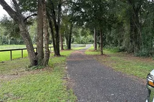 17067 NW Gainesville Rd, Reddick, FL 32686 - Photo 18