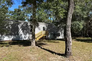 16464 Auburndale, Shady Hills, FL 34610 - Photo 4