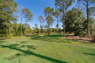 16828 Vinci Way, Bella Collina, FL 34756 - Photo 58