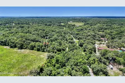 4300 Burkholm Road, Mims, FL 32754 - Photo 10