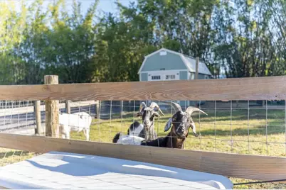 5460 Boutin Lane, Saint Cloud, FL 34772 - Photo 40