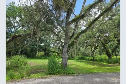 0 Dublin Road, Ridge Manor, FL 33523 - Photo 2