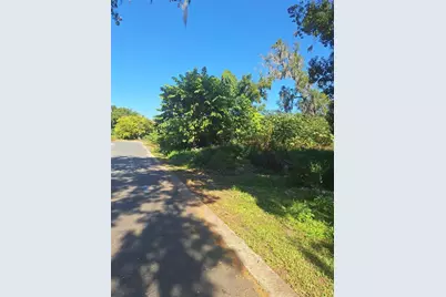 335 E 12th Street, Apopka, FL 32703 - Photo 4