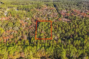 SW 6th Terrace, Palatka, FL 32177 - Photo 1