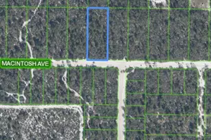 2132 Macintosh Ave, Sebring, FL 33875 - Photo 2