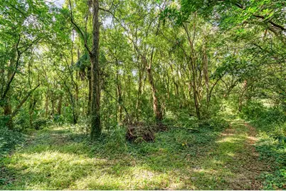 6160 Allen Street, Mount Dora, FL 32757 - Photo 22