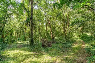 6160 Allen St, Mount Dora, FL 32757 - Photo 22