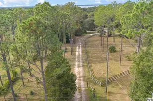 6160 Allen St, Mount Dora, FL 32757 - Photo 28