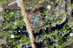 551 E Elgrove Dr, Citrus Springs, FL 34434 - Photo 1