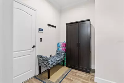 5219 Lake Venice Drive, Wimauma, FL 33598 - Photo 44