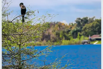 645 Laurel Oak Lane #113, Altamonte Springs, FL 32701 - Photo 50