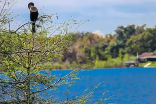 645 Laurel Oak Ln, Altamonte Springs, FL 32701 - Photo 50