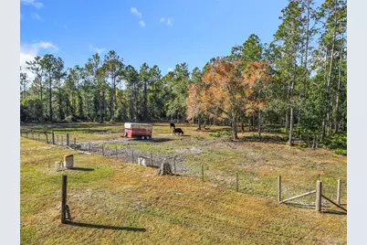 6100 Winning Wood Trail, De Leon Springs, FL 32130 - Photo 46