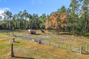 6100 Winning Wood Trl, De Leon Springs, FL 32130 - Photo 46