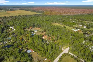 6100 Winning Wood Trl, De Leon Springs, FL 32130 - Photo 52