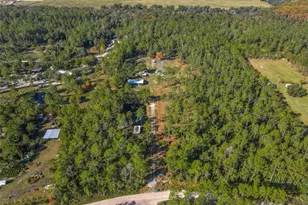 6100 Winning Wood Trl, De Leon Springs, FL 32130 - Photo 52