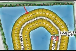 597 Moon Shell Cir, New Smyrna Beach, FL 32168 - Photo 24