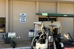 3781 Cohen Dr, Zellwood, FL 32798 - Photo 64