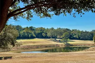 3781 Cohen Dr, Zellwood, FL 32798 - Photo 50